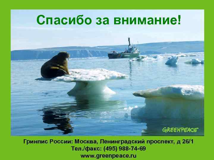   Спасибо за внимание! Гринпис России: Москва, Ленинградский проспект, д 26/1  