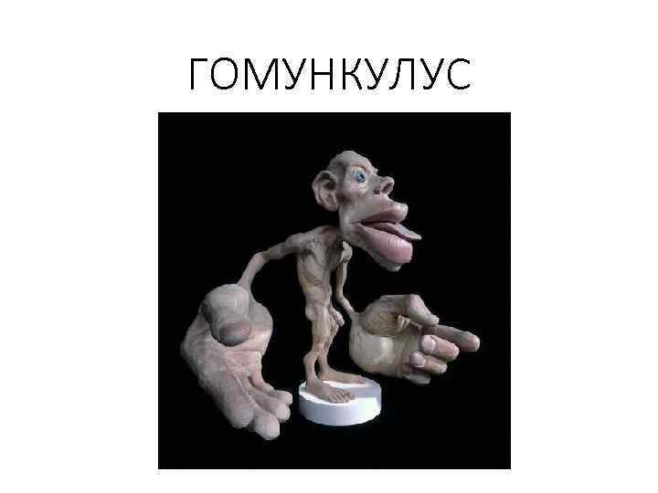 ГОМУНКУЛУС 