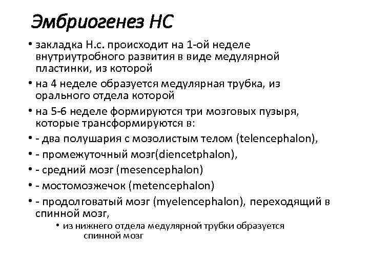Эмбриогенез НС • закладка Н. с. происходит на 1 -ой неделе  внутриутробного развития
