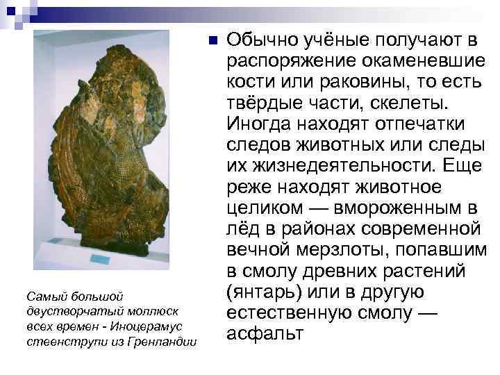      n  Обычно учёные получают в   