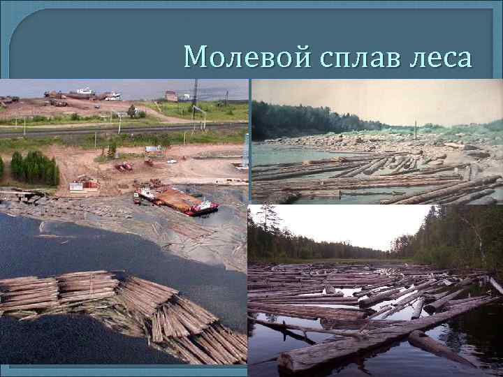 Молевой сплав леса Молевой сплав леса