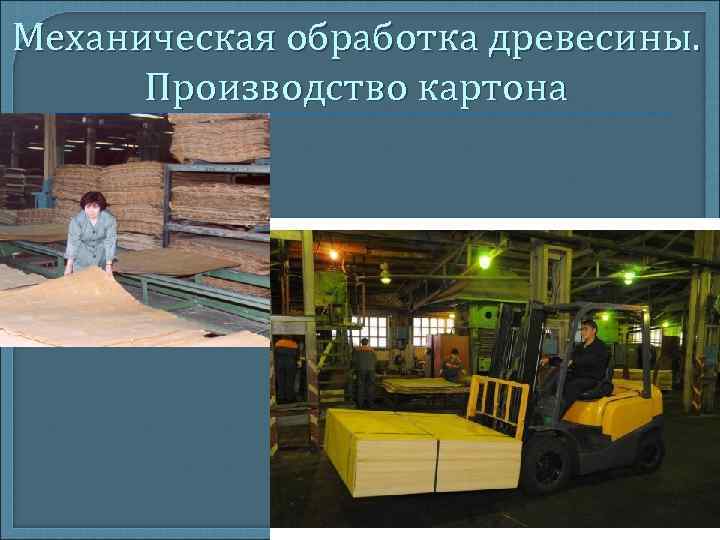 Механическая обработка древесины. Производство картона Механическая обработка древесины. Производство картона