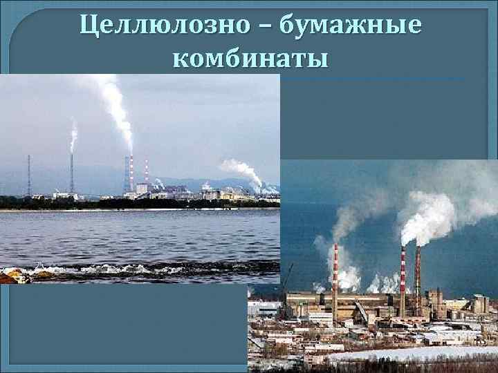 Целлюлозно – бумажные комбинаты Целлюлозно – бумажные комбинаты