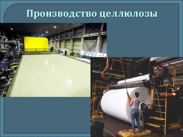 Производство целлюлозы Производство целлюлозы