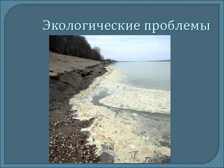 Экологические проблемы Экологические проблемы