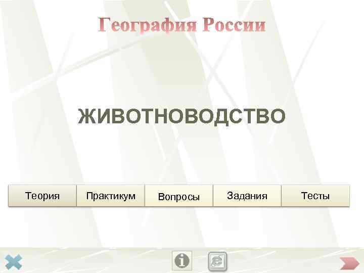    ЖИВОТНОВОДСТВО  Теория  Практикум  Вопросы  Задания  Тесты