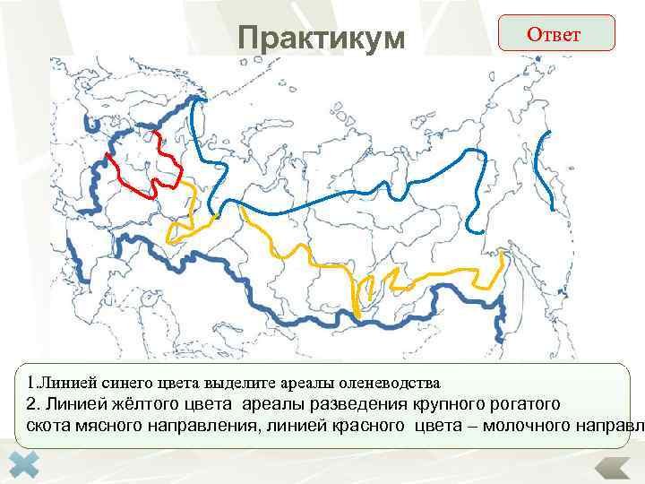     Практикум    Ответ 1. Линией синего цвета выделите