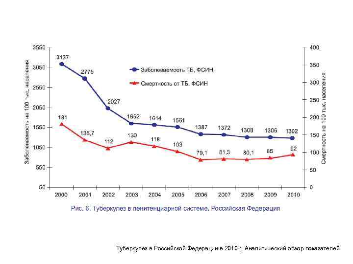 72 Туберкулез в Российской Федерации в 2010 г, Аналитический обзор показателей 