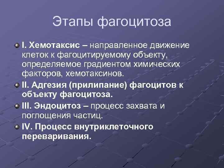Этапы фагоцитоза I. Хемотаксис – направленное движение клеток к фагоцитируемому объекту, определяемое градиентом Этапы фагоцитоза I. Хемотаксис – направленное движение клеток к фагоцитируемому объекту, определяемое градиентом