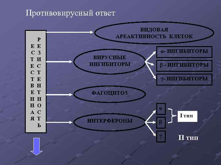 Противовирусный ответ ВИДОВАЯ АРЕАКТИВНОСТЬ КЛЕТОК Противовирусный ответ ВИДОВАЯ АРЕАКТИВНОСТЬ КЛЕТОК