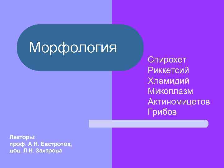  Морфология     Спирохет     Риккетсий  