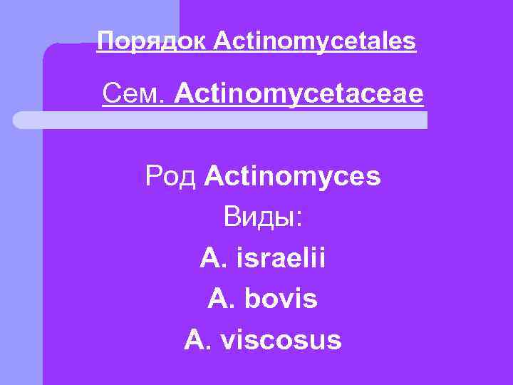 Порядок Actinomycetales Сем. Actinomycetaceae Род Actinomyces   Виды:  А. israelii  A.
