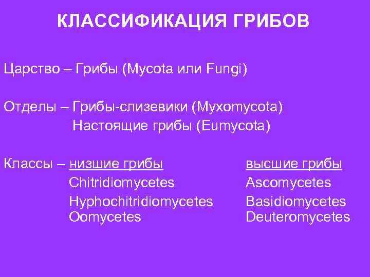  КЛАССИФИКАЦИЯ ГРИБОВ Царство – Грибы (Mycota или Fungi) Отделы – Грибы-слизевики (Myxomycota)