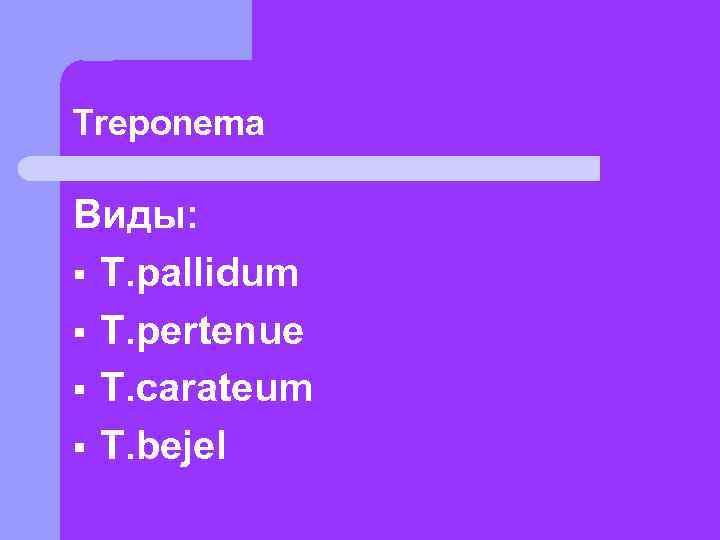 Treponema Виды: § T. pallidum § T. pertenue § T. carateum § T. bejel