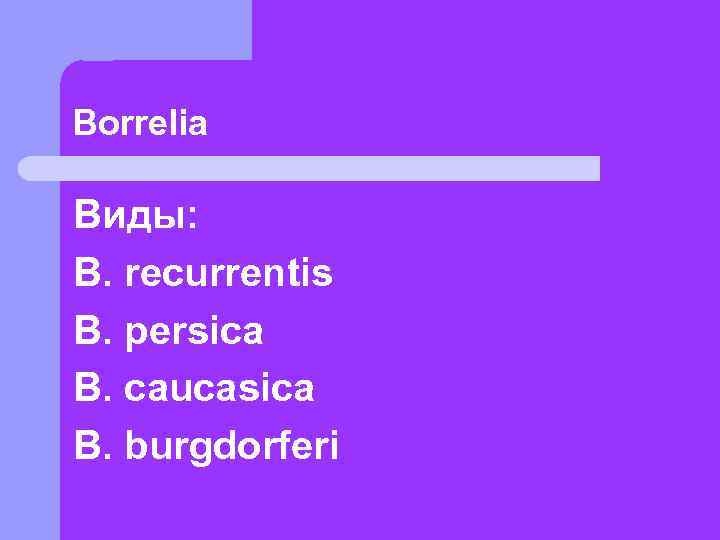 Borrelia Виды: B. recurrentis B. persica B. caucasica B. burgdorferi 