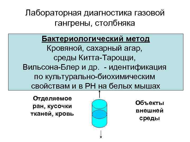 Лабораторная диагностика газовой  гангрены, столбняка Бактериологический метод  Кровяной, сахарный агар,  