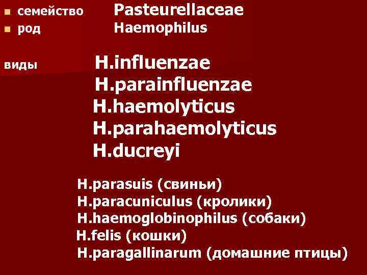 n семейство Pasteurellaceae n род  Haemophilus виды   H. influenzae  