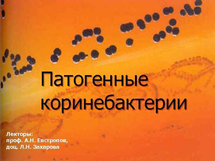   Патогенные  коринебактерии Лекторы: проф. А. Н. Евстропов, доц. Л. Н. Захарова