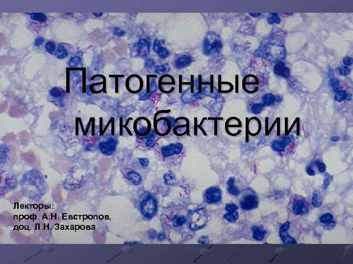    Патогенные  микобактерии Лекторы: проф. А. Н. Евстропов, доц. Л. Н.