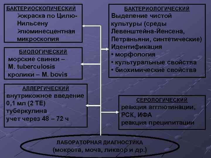 БАКТЕРИОСКОПИЧЕСКИЙ    БАКТЕРИОЛОГИЧЕСКИЙ  Øокраска по Цилю-  Выделение чистой  Нильсену