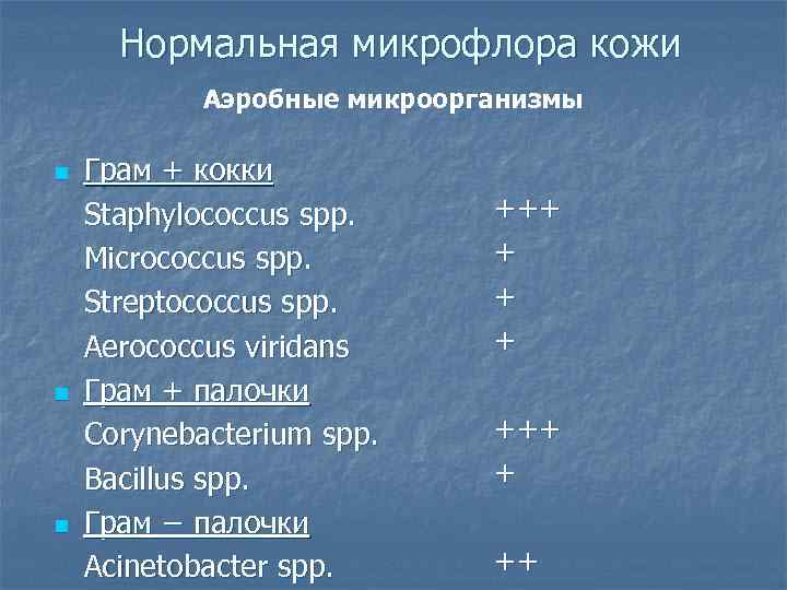  Нормальная микрофлора кожи   Аэробные микроорганизмы n  Грам + кокки Staphylococcus