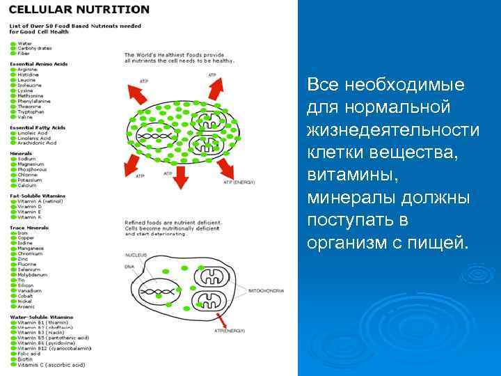 Необходимых для нормальной жизнедеятельности. Для нормальной жизнедеятельности клетки необходимы. Вещества необходимые для жизнедеятельности клеток поступают.