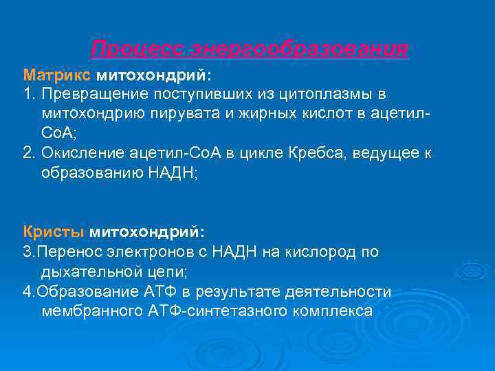   Процесс энергообразования Матрикс митохондрий: 1. Превращение поступивших из цитоплазмы в  митохондрию