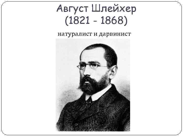 Август Шлейхер (1821 - 1868) натуралист и дарвинист Август Шлейхер (1821 - 1868) натуралист и дарвинист