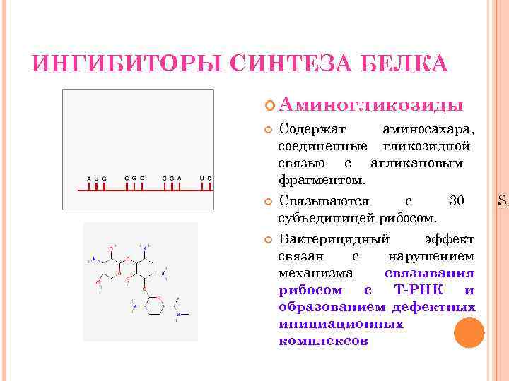 ИНГИБИТОРЫ СИНТЕЗА БЕЛКА    Аминогликозиды   Содержат аминосахара,   