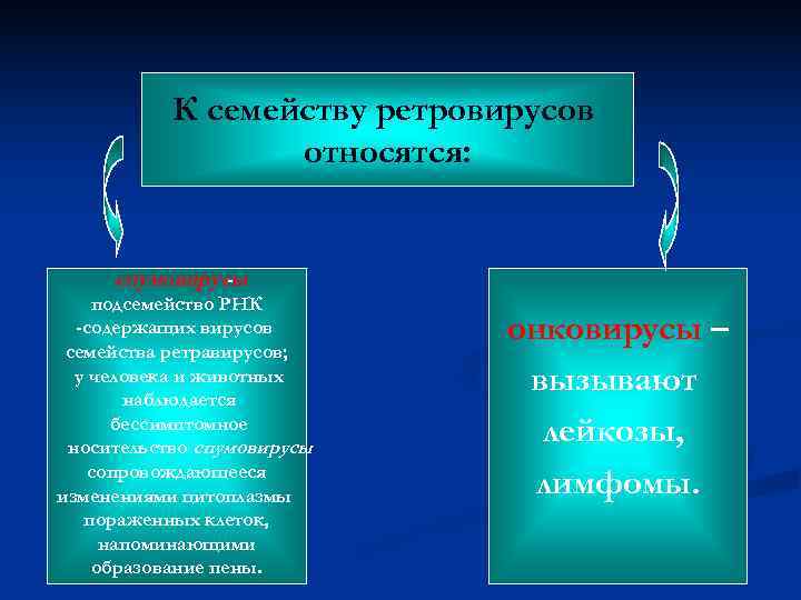   К семейству ретровирусов    относятся:   спумовирусы  