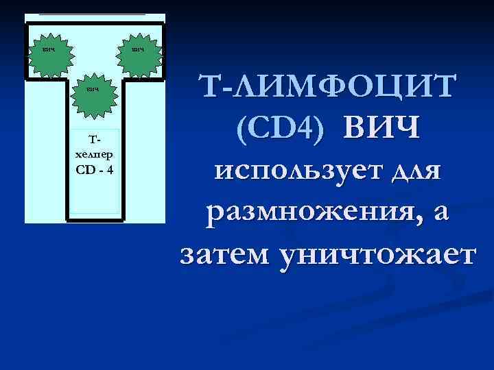 ВИЧ    Т-ЛИМФОЦИТ   Т-   (СD 4) ВИЧ 
