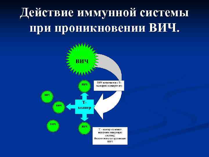 Действие иммунной системы при проникновении ВИЧ. 