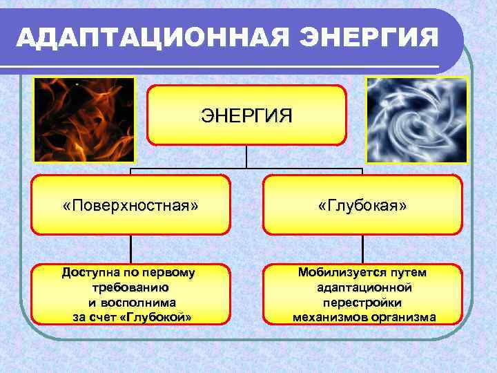 АДАПТАЦИОННАЯ ЭНЕРГИЯ     ЭНЕРГИЯ  «Поверхностная»    «Глубокая» Доступна