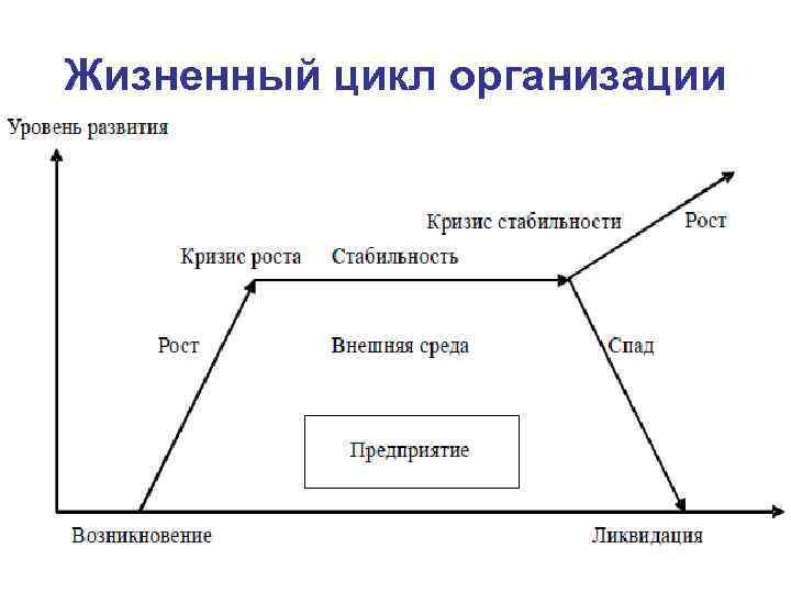 Жизненный цикл организации 