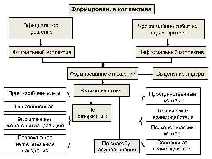      Формирование коллектива  Официальное     