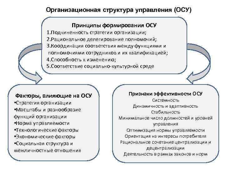   Организационная структура управления (ОСУ)     Принципы формирования ОСУ 