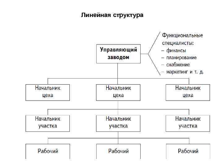 Организационно правовые формы план