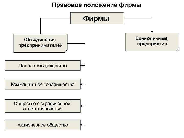     Правовое положение фирмы     Фирмы Объединения 