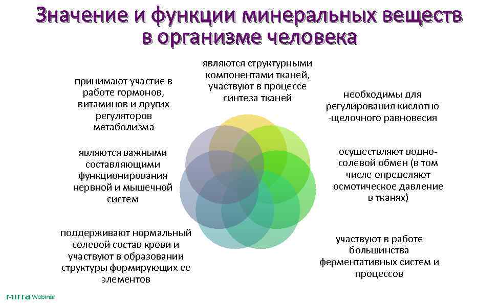 Значение и функции минеральных веществ  в организме человека     