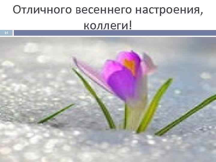  Отличного весеннего настроения,  14   коллеги! 