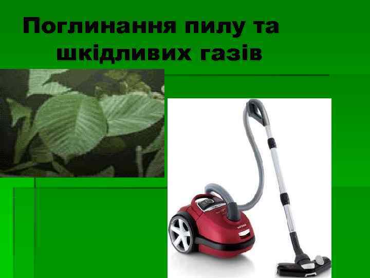 Поглинання пилу та  шкідливих газів 