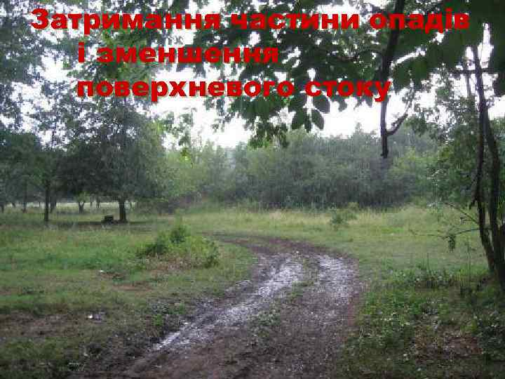 Затримання частини опадів  і зменшення  поверхневого стоку 