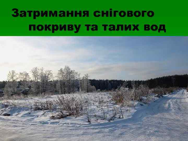 Затримання снігового  покриву та талих вод 