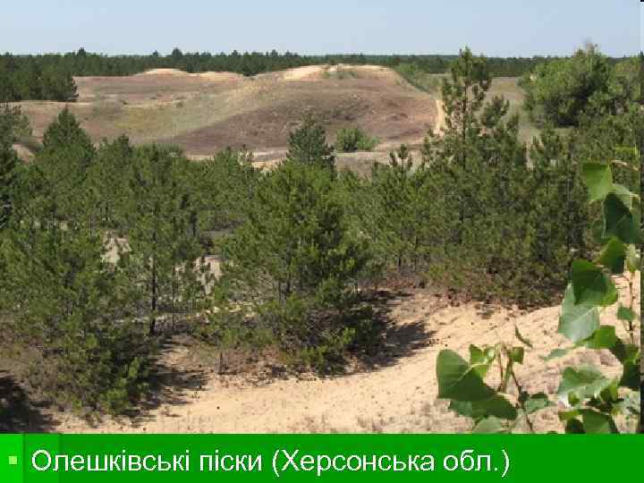§ Олешківські піски (Херсонська обл. ) 