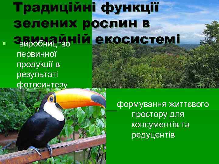   Традиційні функції зелених рослин в §  звичайній екосистемі виробництво первинної продукції