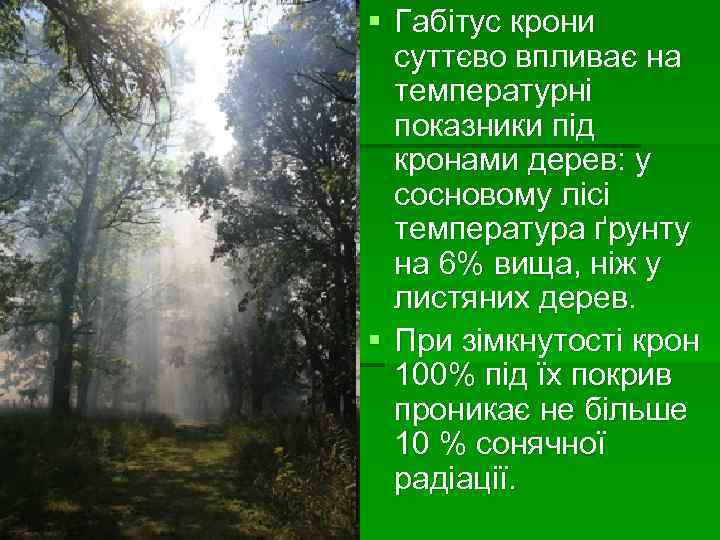 § Габітус крони  суттєво впливає на  температурні  показники під  кронами