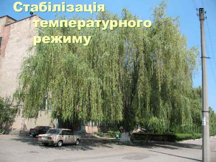 Стабілізація  температурного  режиму 