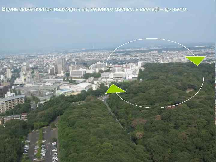 Вдень свіже повітря надходить від зеленого масиву, а ввечері – до нього. 