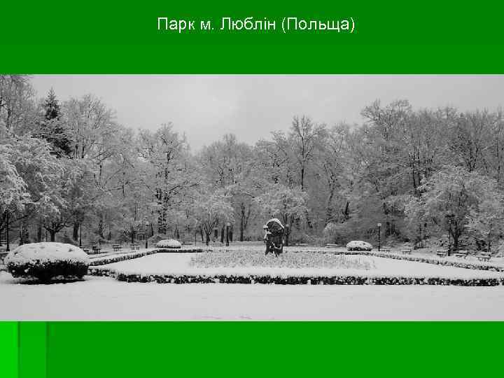 Парк м. Люблін (Польща) Парк м. Люблін (Польща)