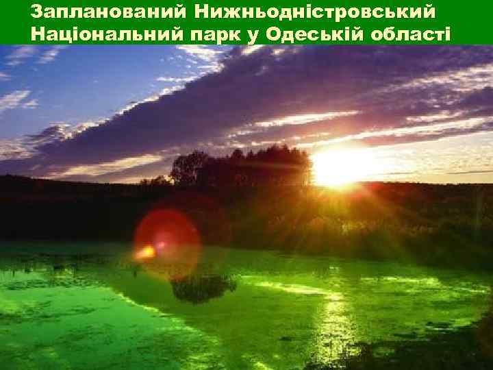 Запланований Нижньодністровський Національний парк у Одеській області Запланований Нижньодністровський Національний парк у Одеській області